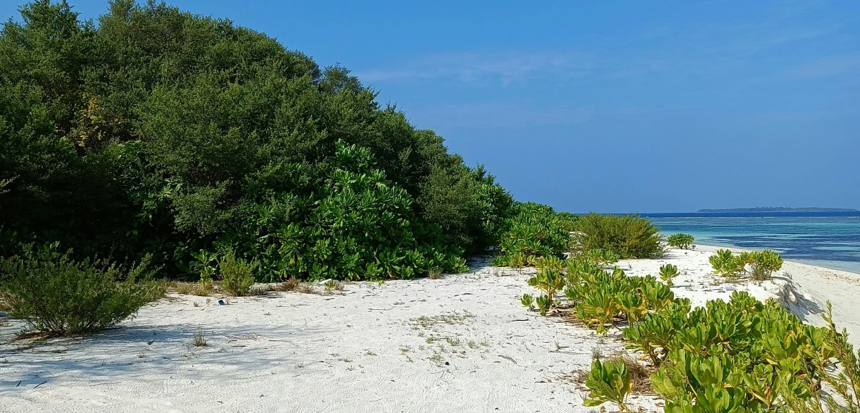 guraidhoo beach – budget-friendly Maldives island
